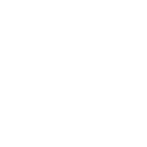 Booster